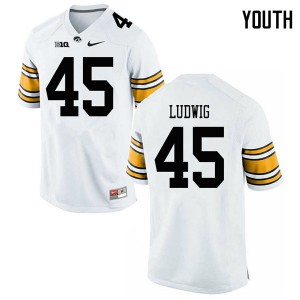 Youth Iowa Hawkeyes Joe Ludwig #45 White NCAA Jersey 856287-923