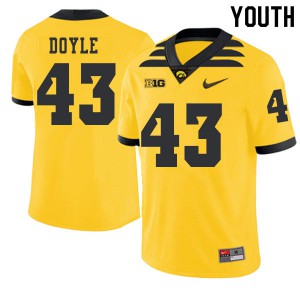 Youth Iowa Hawkeyes Dillon Doyle #43 Stitched Gold 2019 Alternate Jersey 343083-588