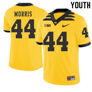 Youth Iowa Hawkeyes James Morris #44 Alumni Gold 2019 Alternate Jerseys 530037-525