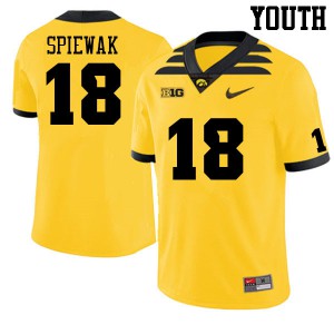 Youth Iowa Hawkeyes Austin Spiewak #18 Football Gold Jersey 171882-815