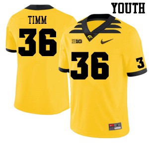 Youth Iowa Hawkeyes Mike Timm #36 Gold Embroidery Jersey 329743-445