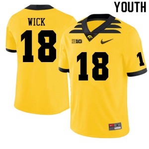 Youth Iowa Hawkeyes Alec Wick #18 Gold NCAA Jerseys 554988-821