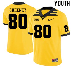 Youth Iowa Hawkeyes Brennan Sweeney #80 Football Gold Jersey 971357-216