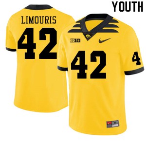 Youth Iowa Hawkeyes Denin Limouris #42 Football Gold Jersey 987304-782