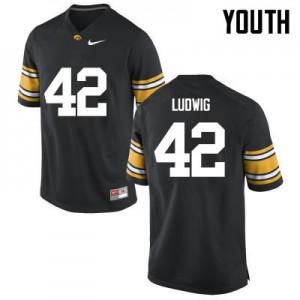 Youth Iowa Hawkeyes Joe Ludwig #42 Official Black Jerseys 384128-623
